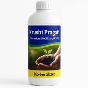 Potassium Mobilizing Bio-Fertilizer (KMB)