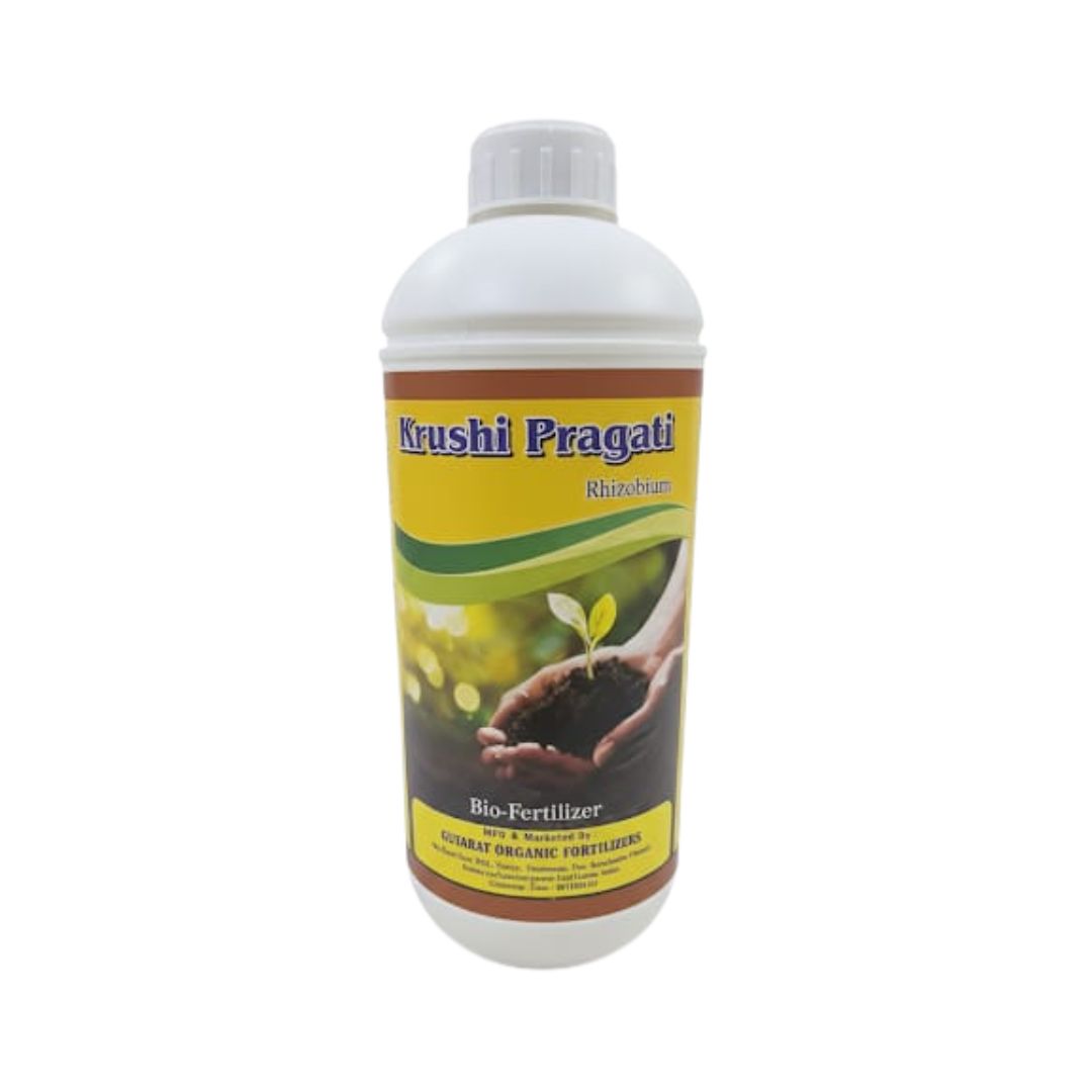 Rhizobium Inocultants (Bio Fertilizer)-IS:8268