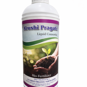 Liquid Consortia (V2)